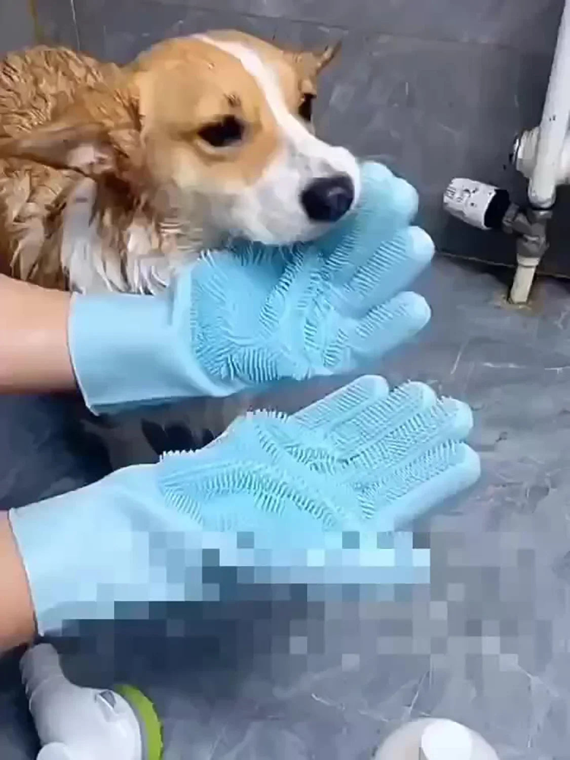 Silicone Pet Grooming Gloves – Dog & Cat Bathing Shampoo Hair Removal Glove